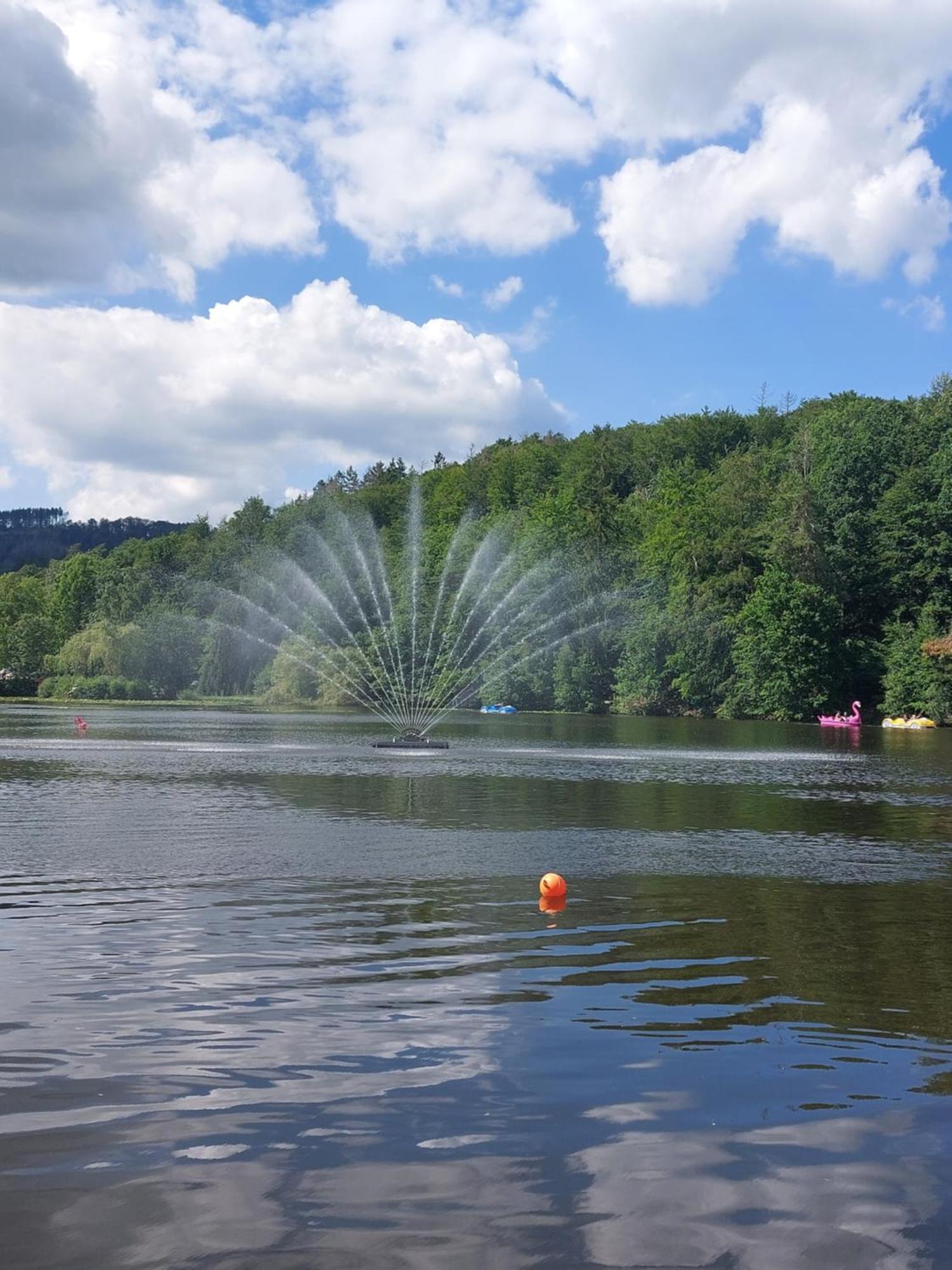 Ferienwohnung Gipfelglueck Mit Fernblick Und Strandkorb Bad Sachsa Extérieur photo